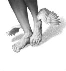 pieds-ailes