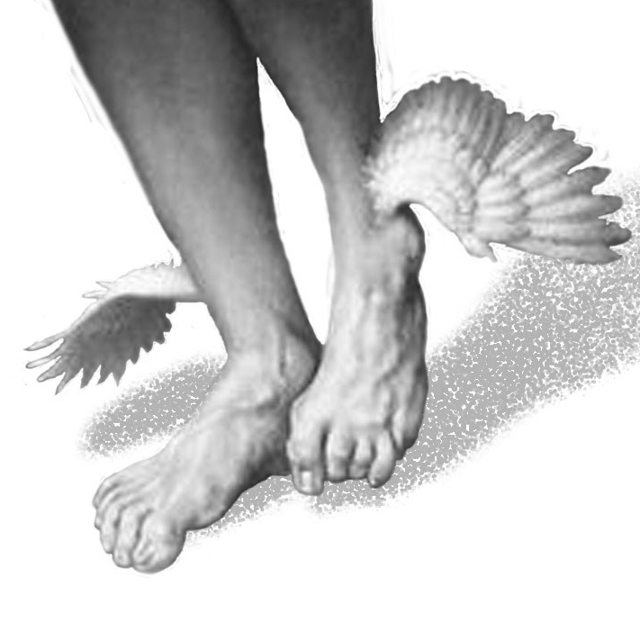 cropped-pieds-ailecc81s1