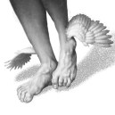 cropped-pieds-ailecc81s1