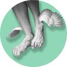 New_pieds_ailés_pitonVert