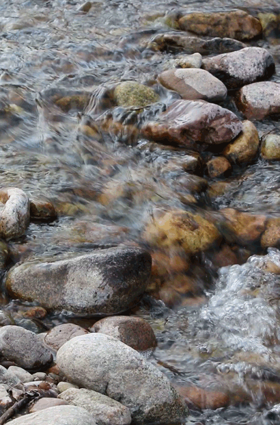 TautLimpingKinkajou-size_restricted