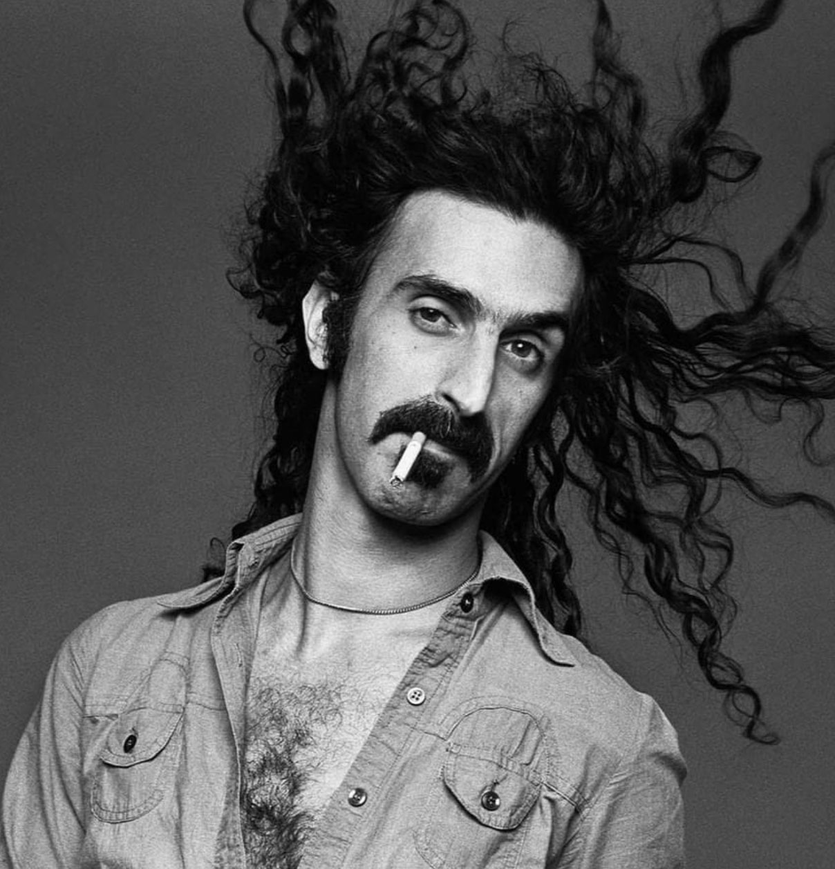 Zappa citation